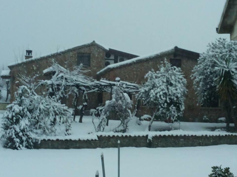 Agriturismo Pingitore Luzzi Exterior photo